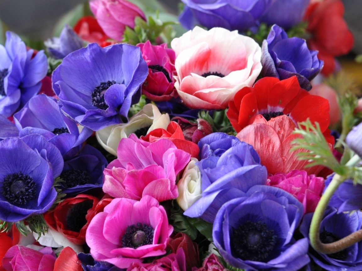 Яркий букет на восьмое марта