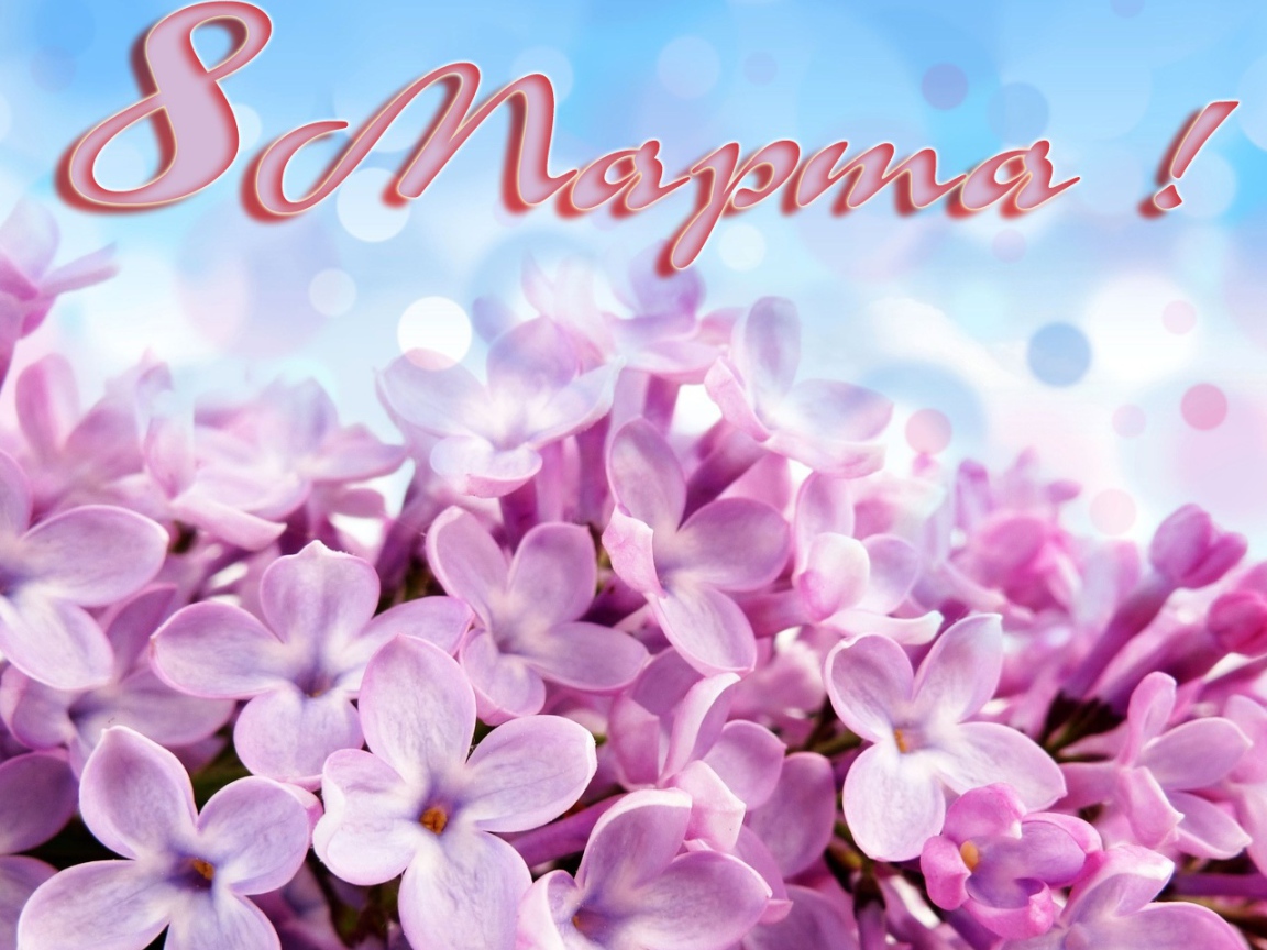 Первоцвет на 8 марта