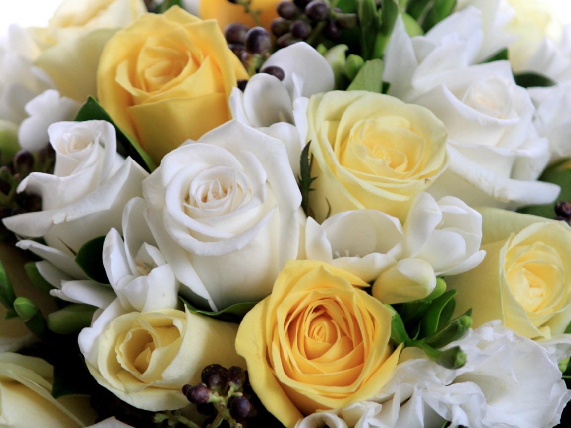 Белые и жёлтые розы в букете на восьмое марта