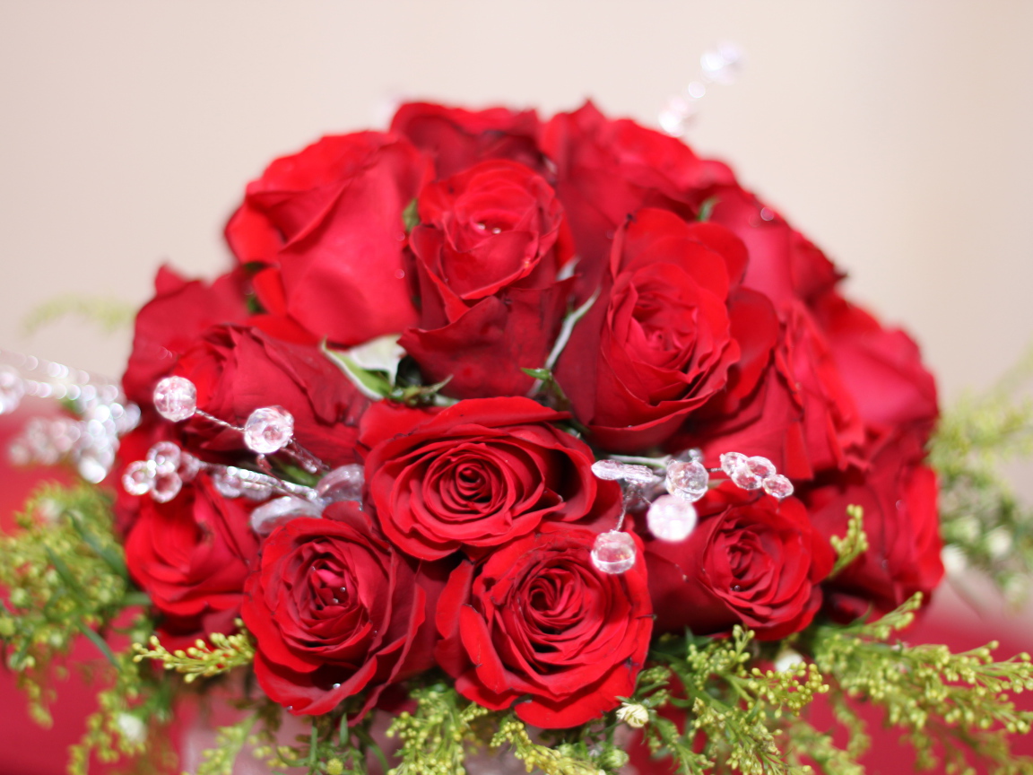 Красные розы на 8 марта с зелеными ветками