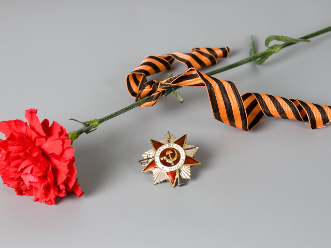 Гвоздика и орден в День Победы 9 мая