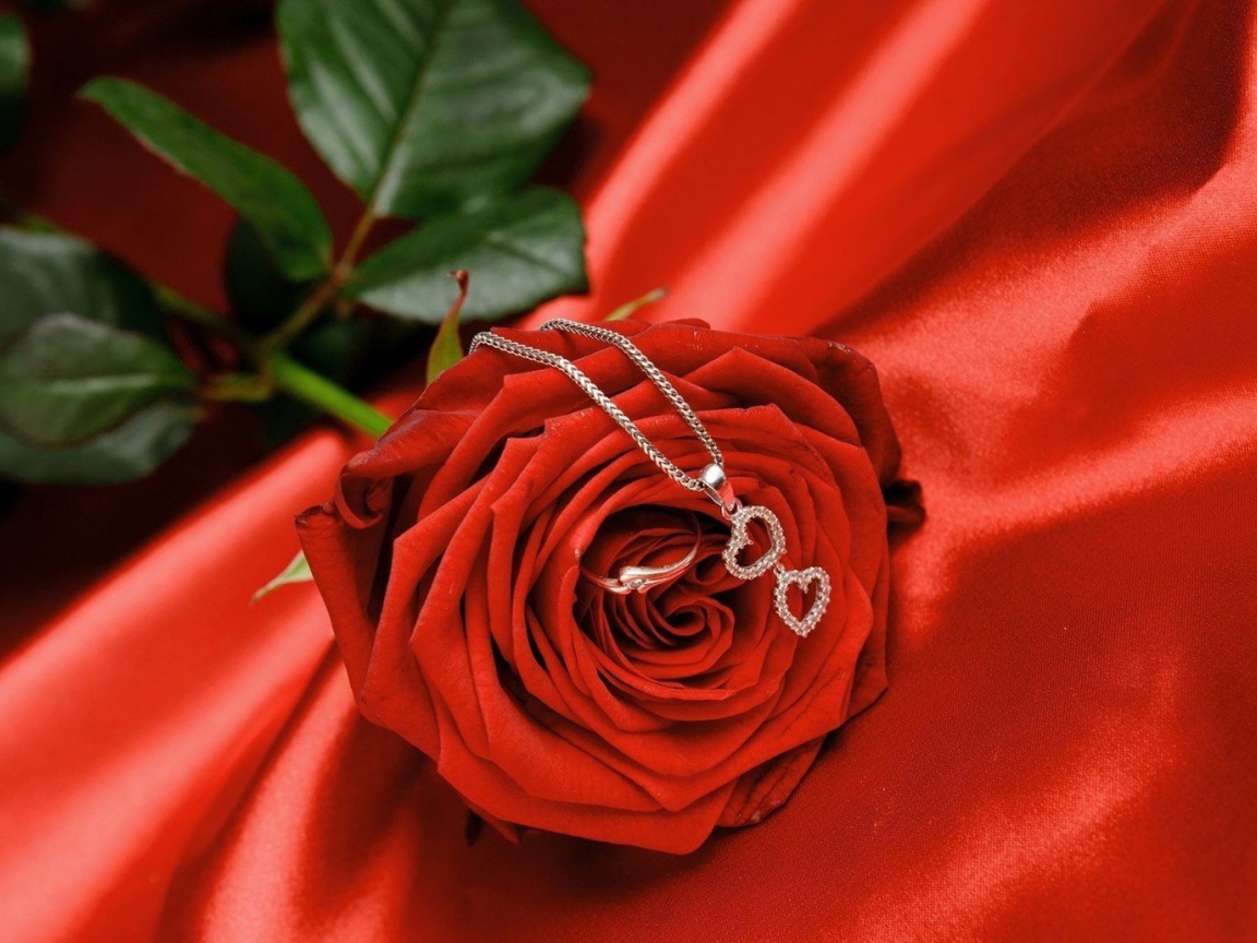 Rose with pendant for Valentine's Day