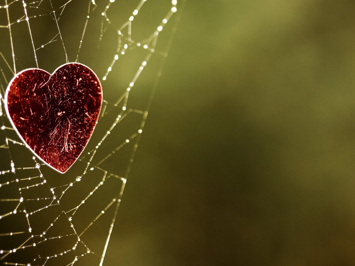 Сердечко на паутине