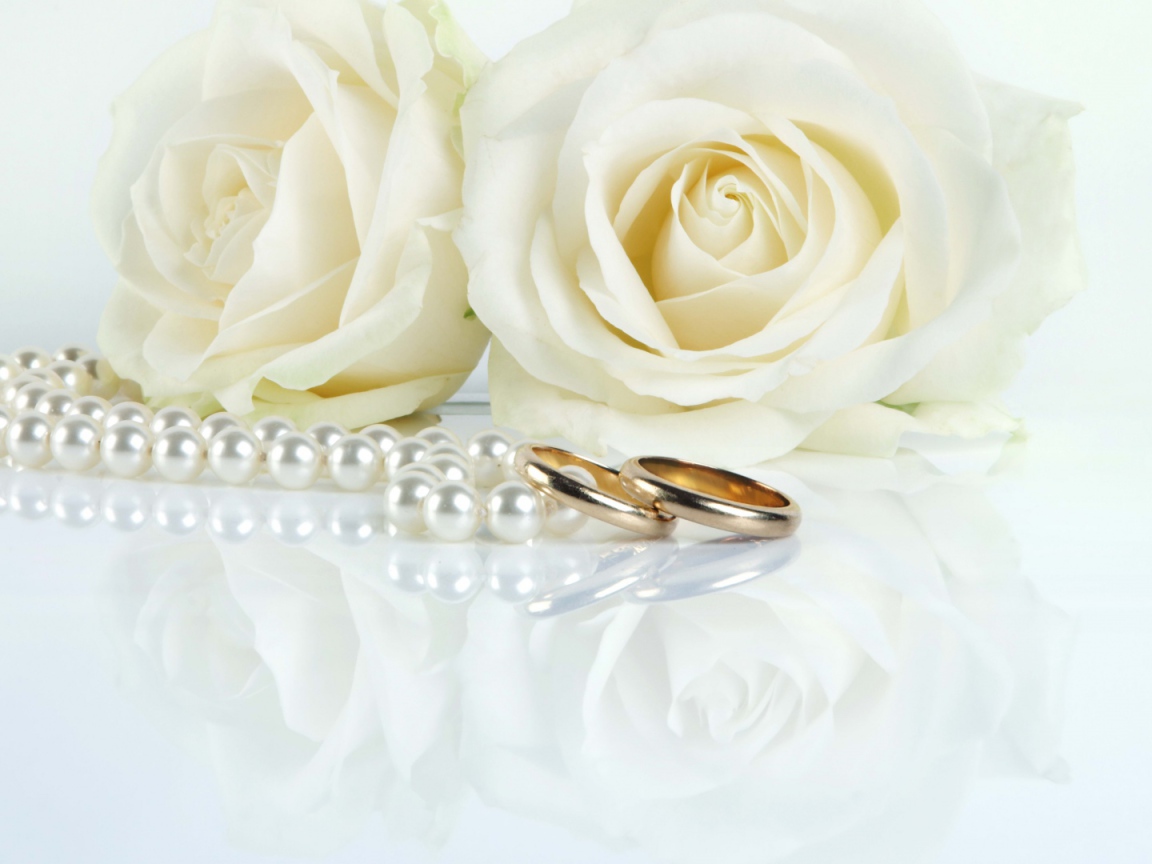 Белые розы и свадебные кольца