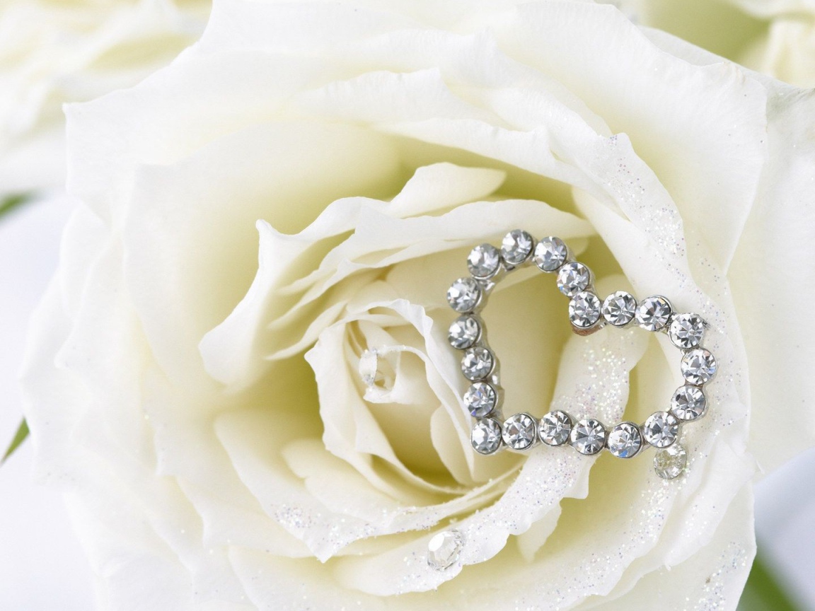 Белые розы и сердце из белых драгоценных камней