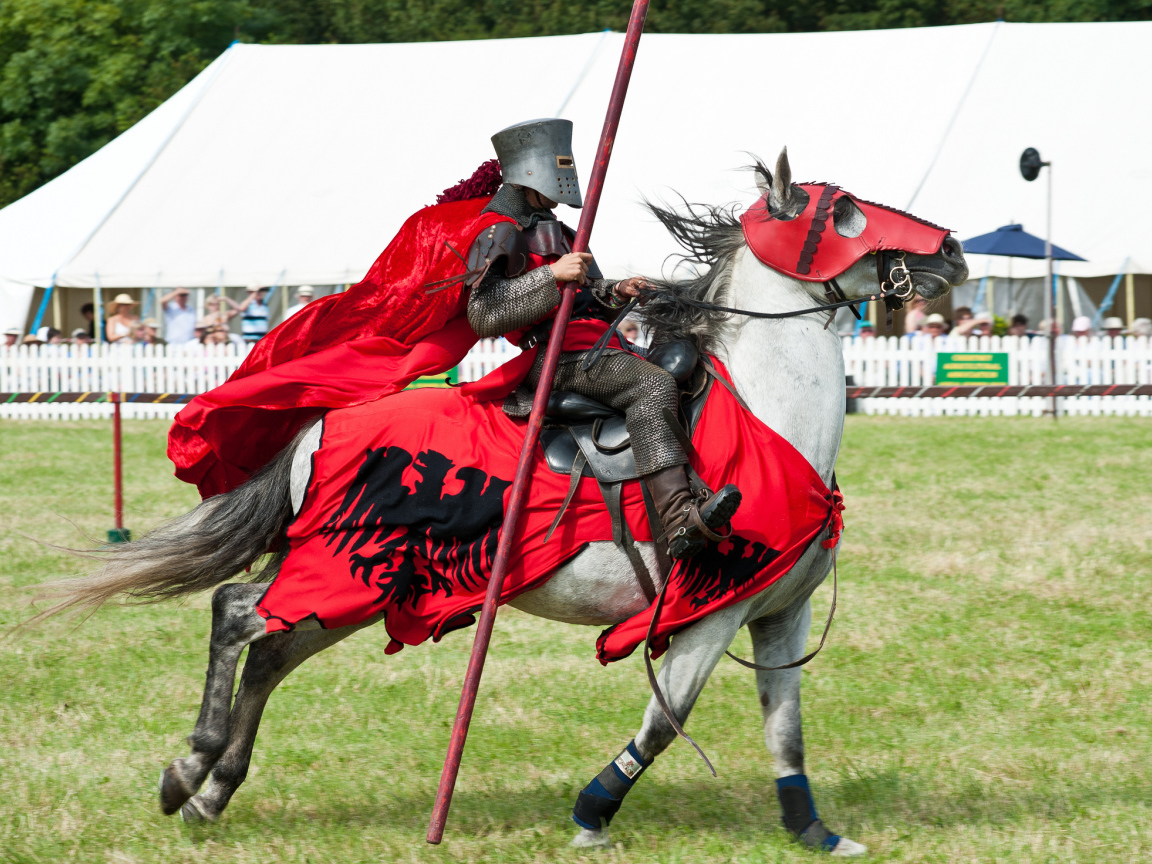 Мужские игры в доспехах