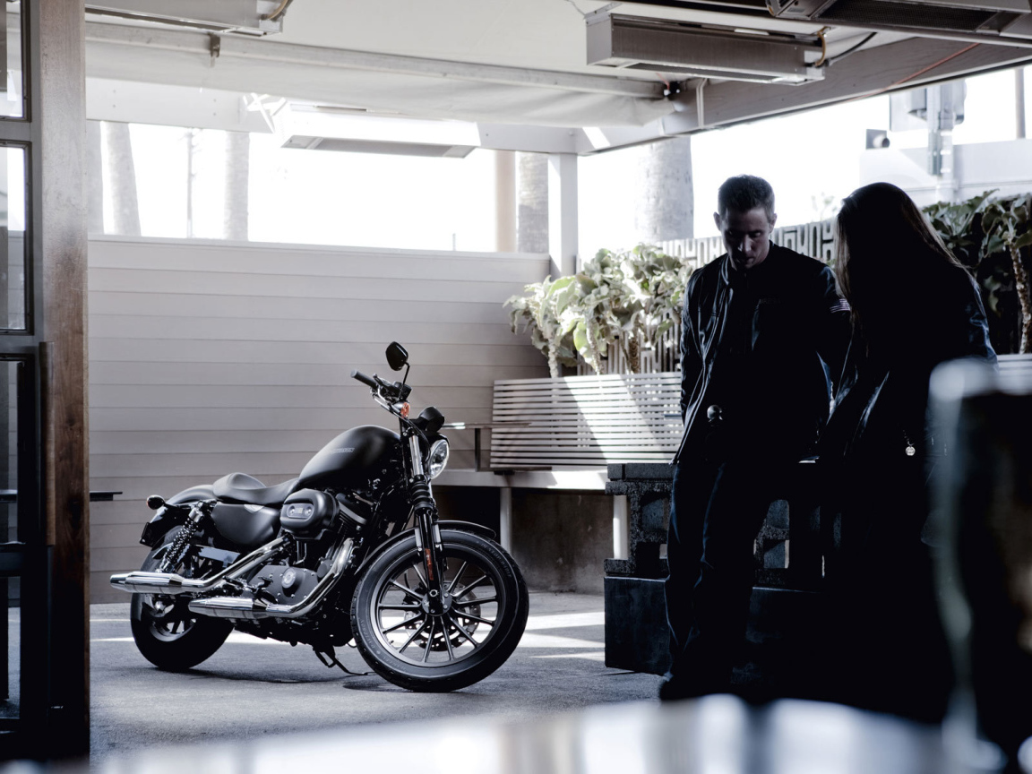 Невероятный мотоцикл Harley-Davidson XL 883N Sportster Iron