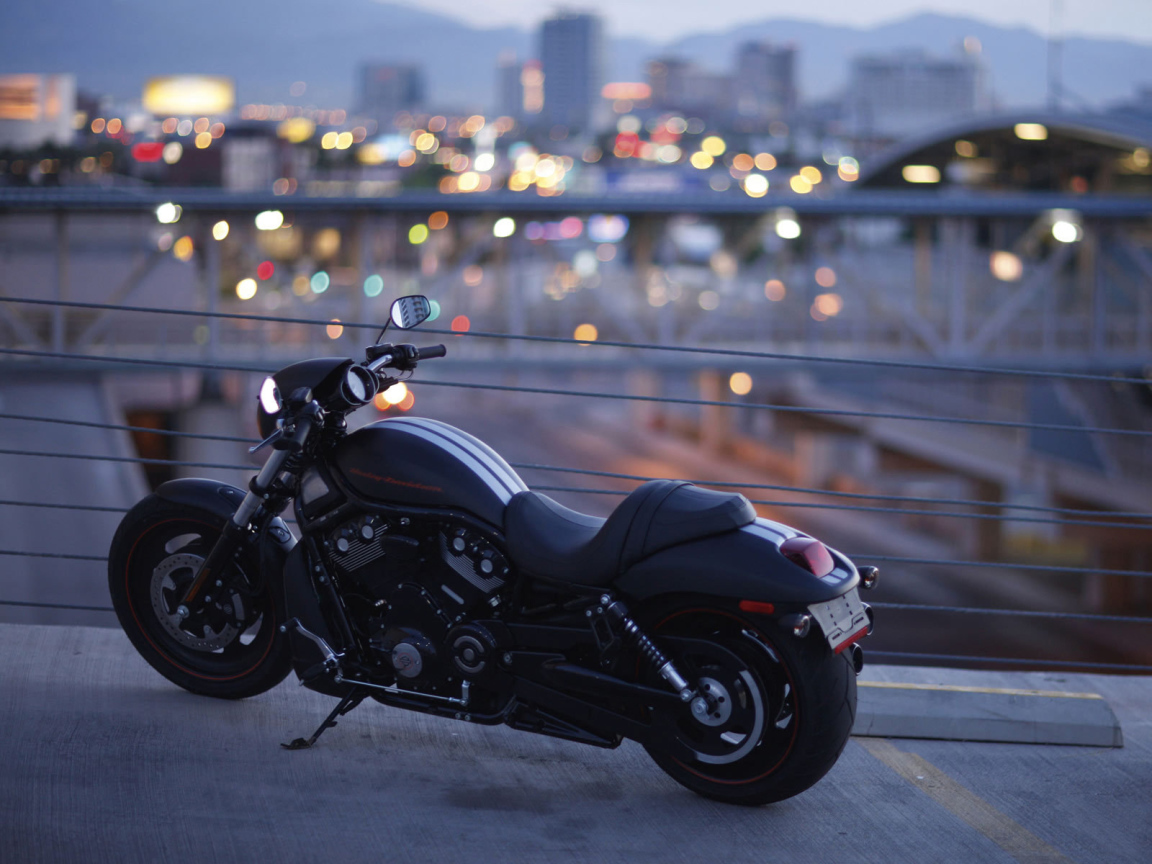 Популярный мотоцикл Harley-Davidson Night Rod Special