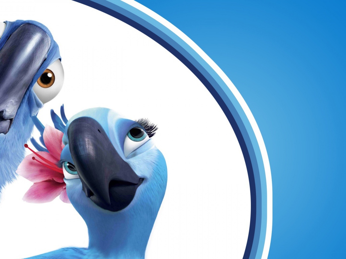 Рио 2 две птицы