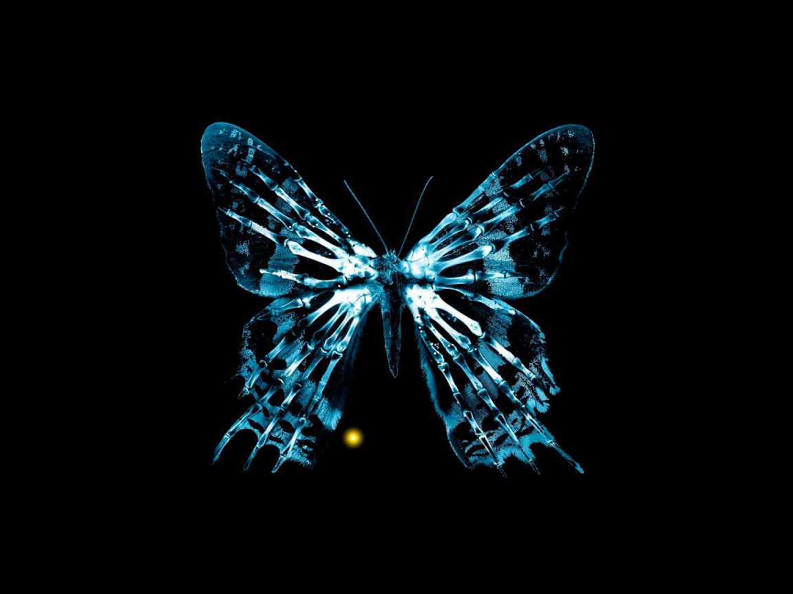 Эффект бабочки