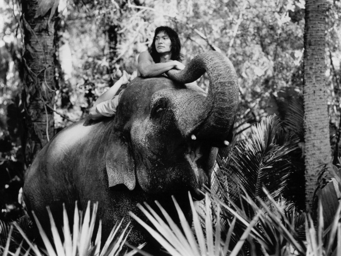 Книга джунгле