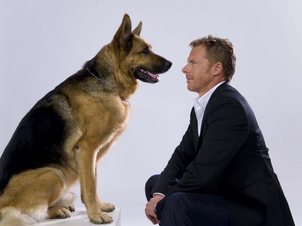  Комиссар Рекс