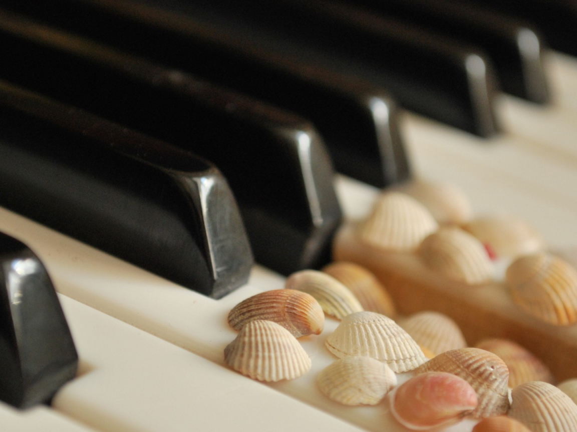 Клавиши с ракушками