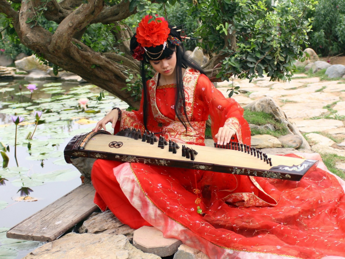 Утренние кувшинки под музыку