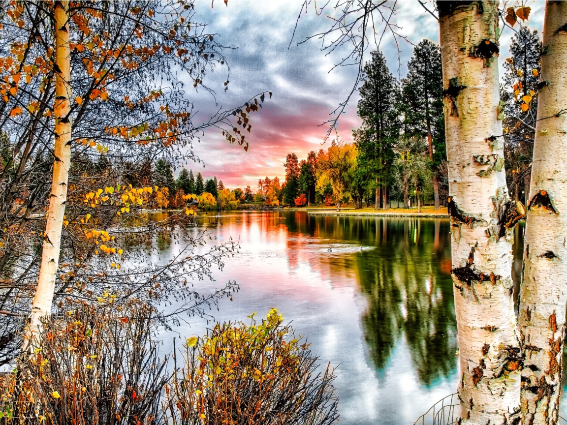 Березы у реки