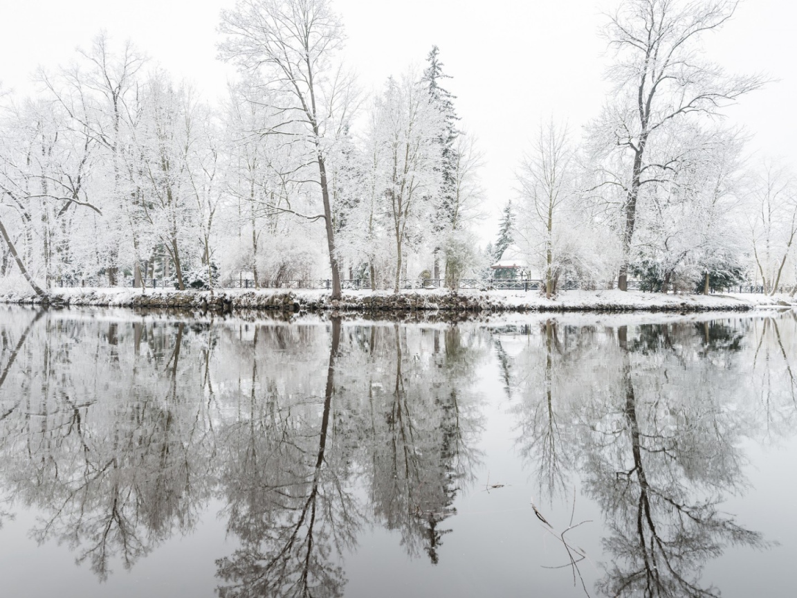 Oтражения деревъев в снегу