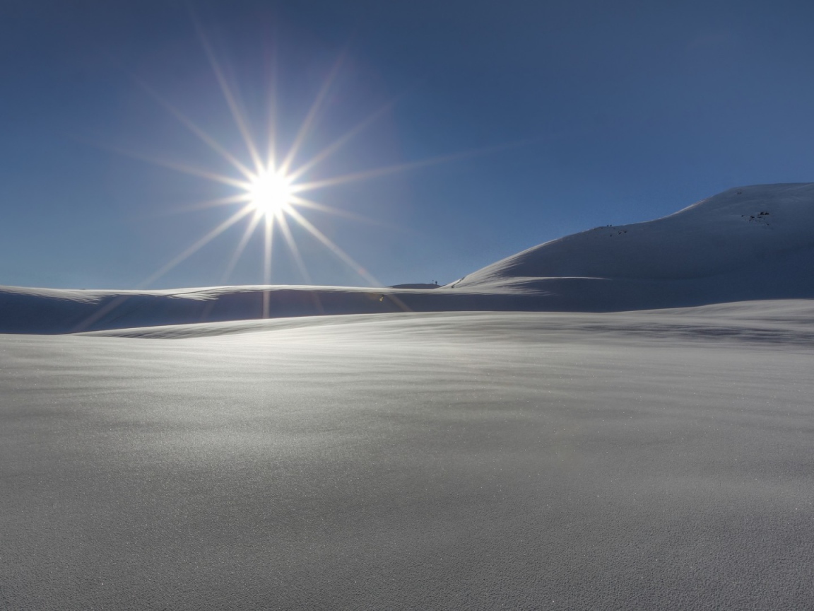 Звезда пустыни