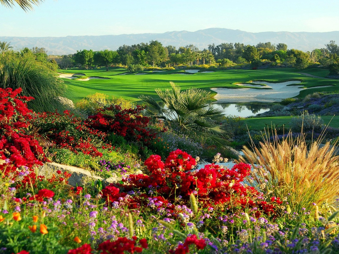 Сказочный сад