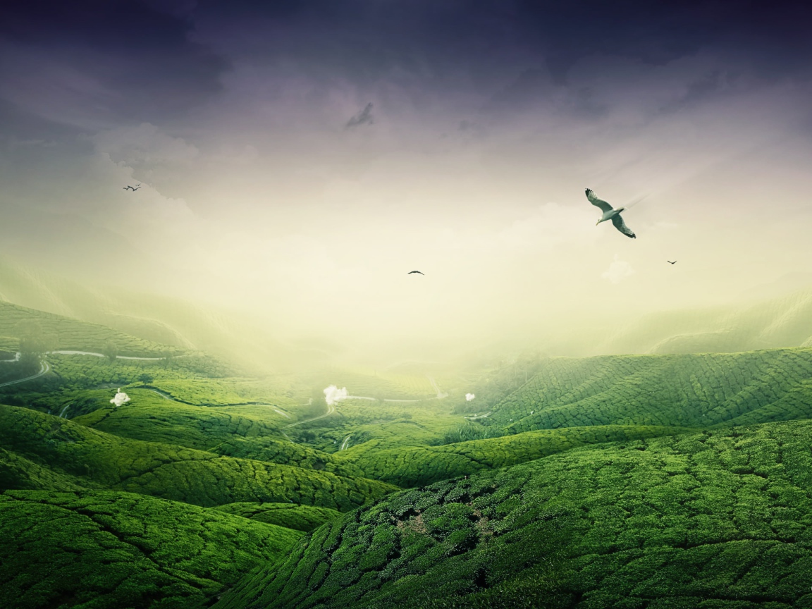 Зеленый пейзаж