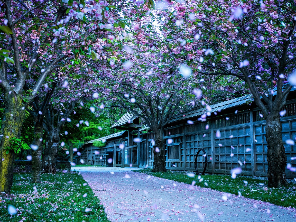 Парк в Канаде