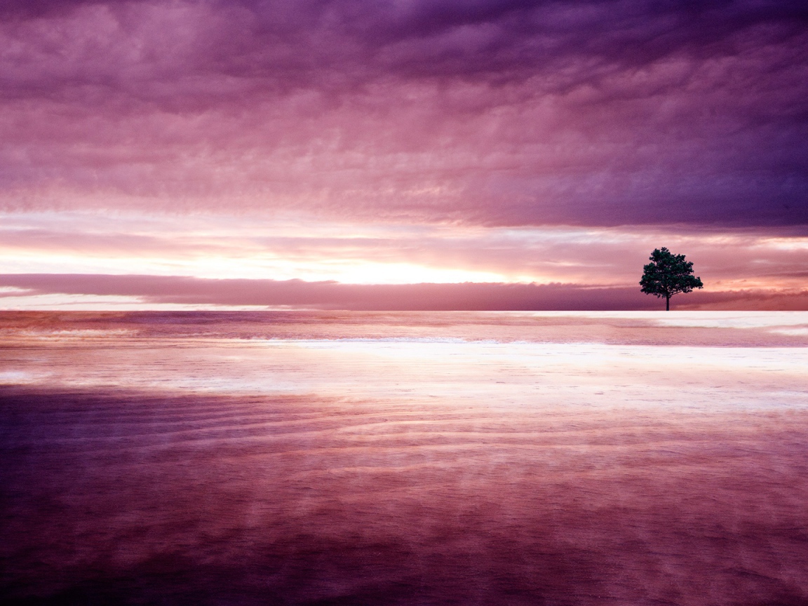 Фиолетовая природа 