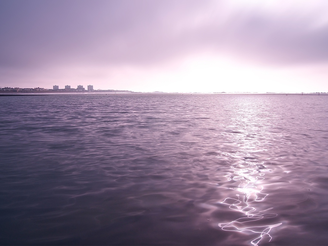 Фиолетовые сумерки