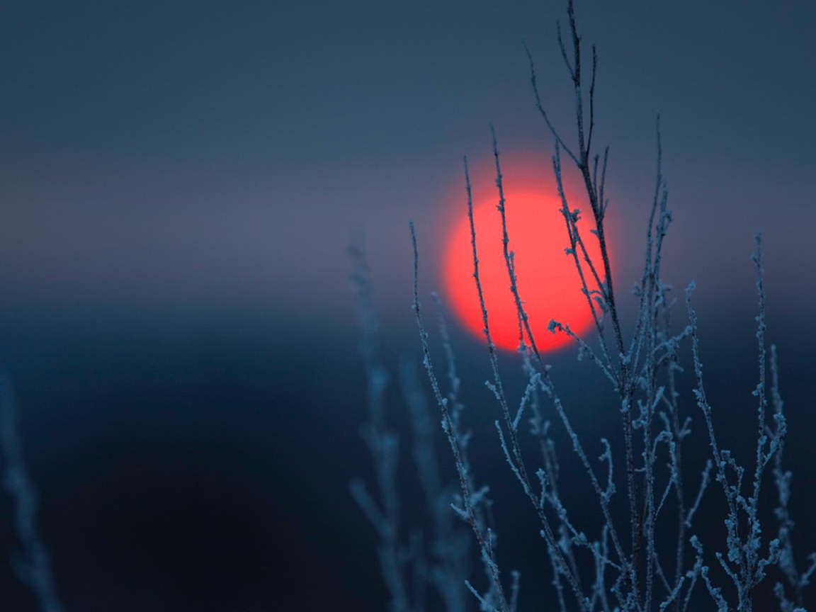 Kрасное пятно на  тёмном фоне