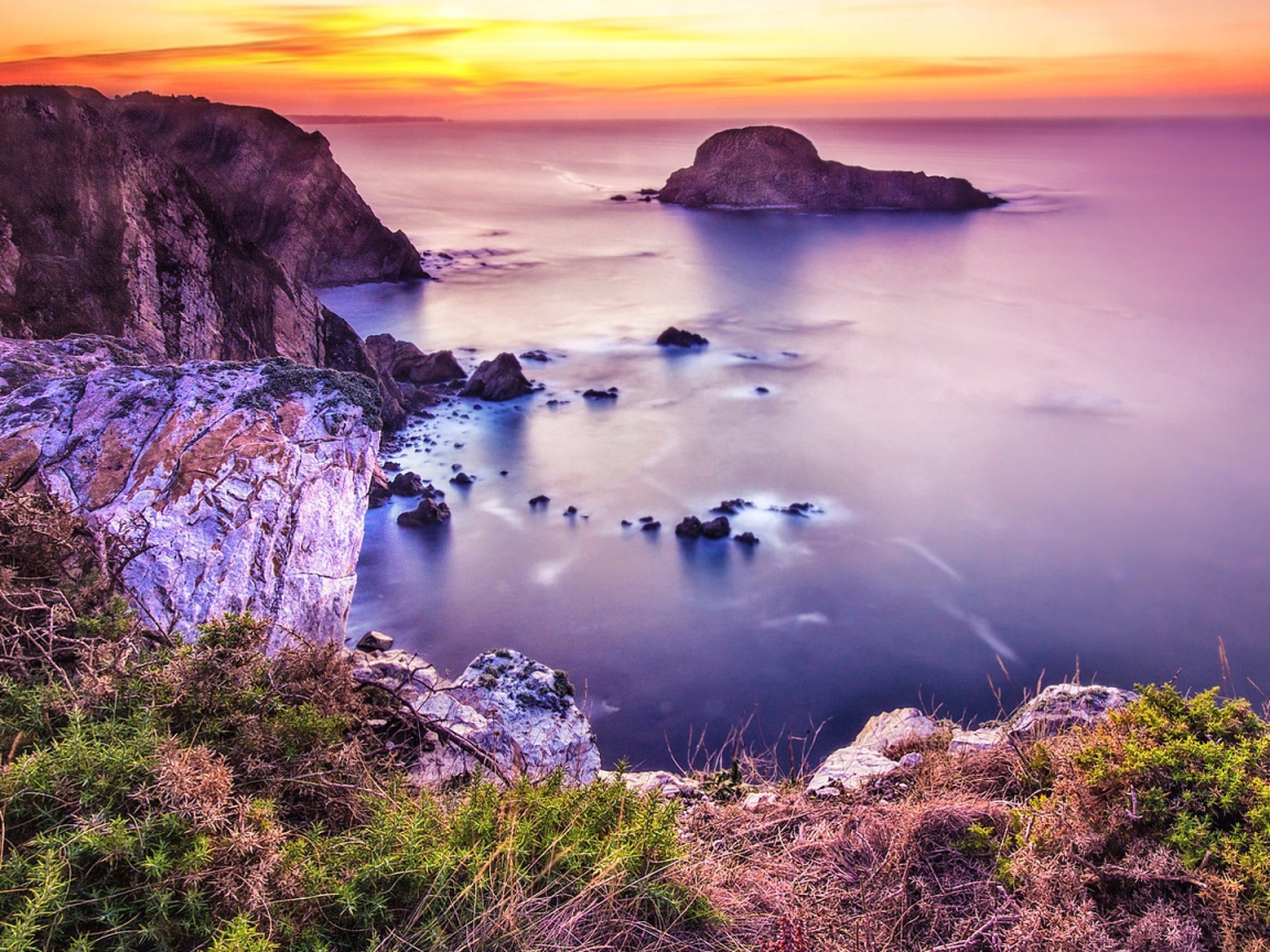 Розовая природа