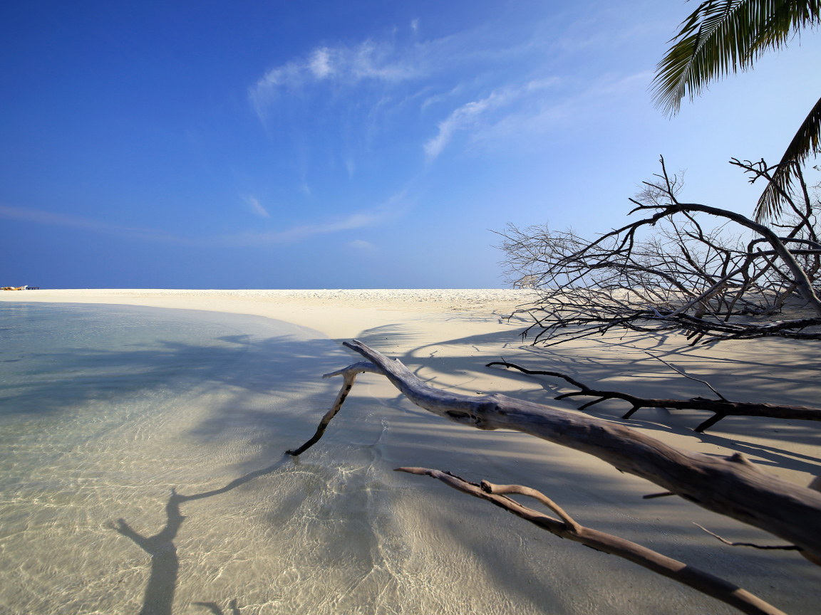 Красивый пляж под голубым небом