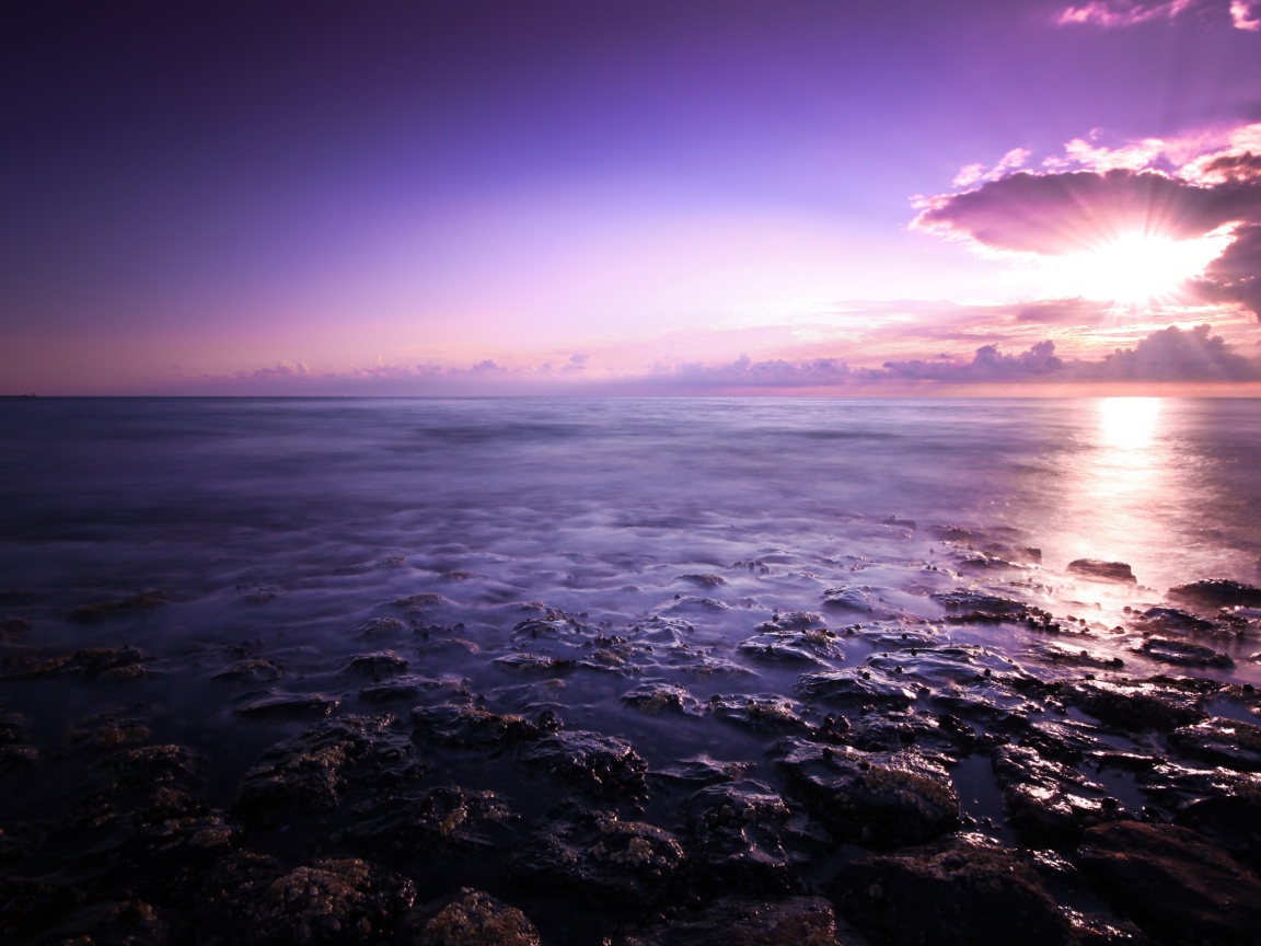 Фиолетовое небо