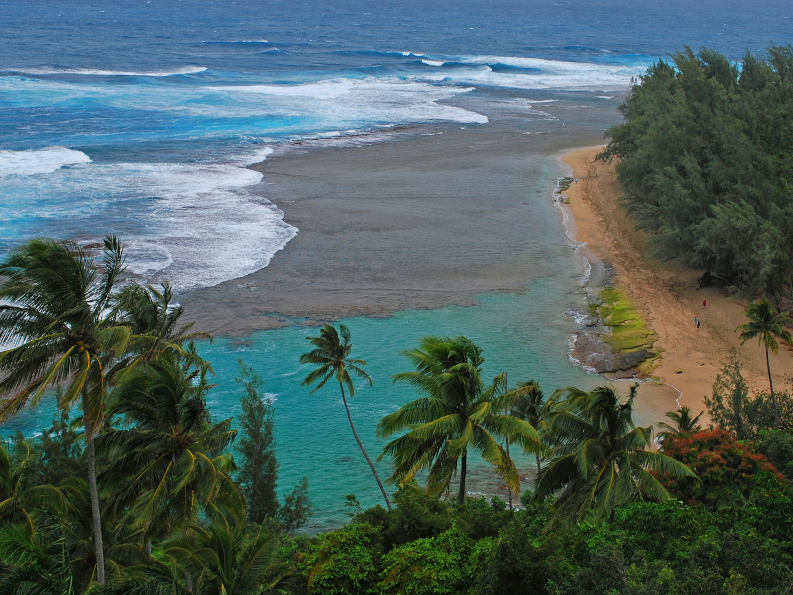 Дикий пляж у моря