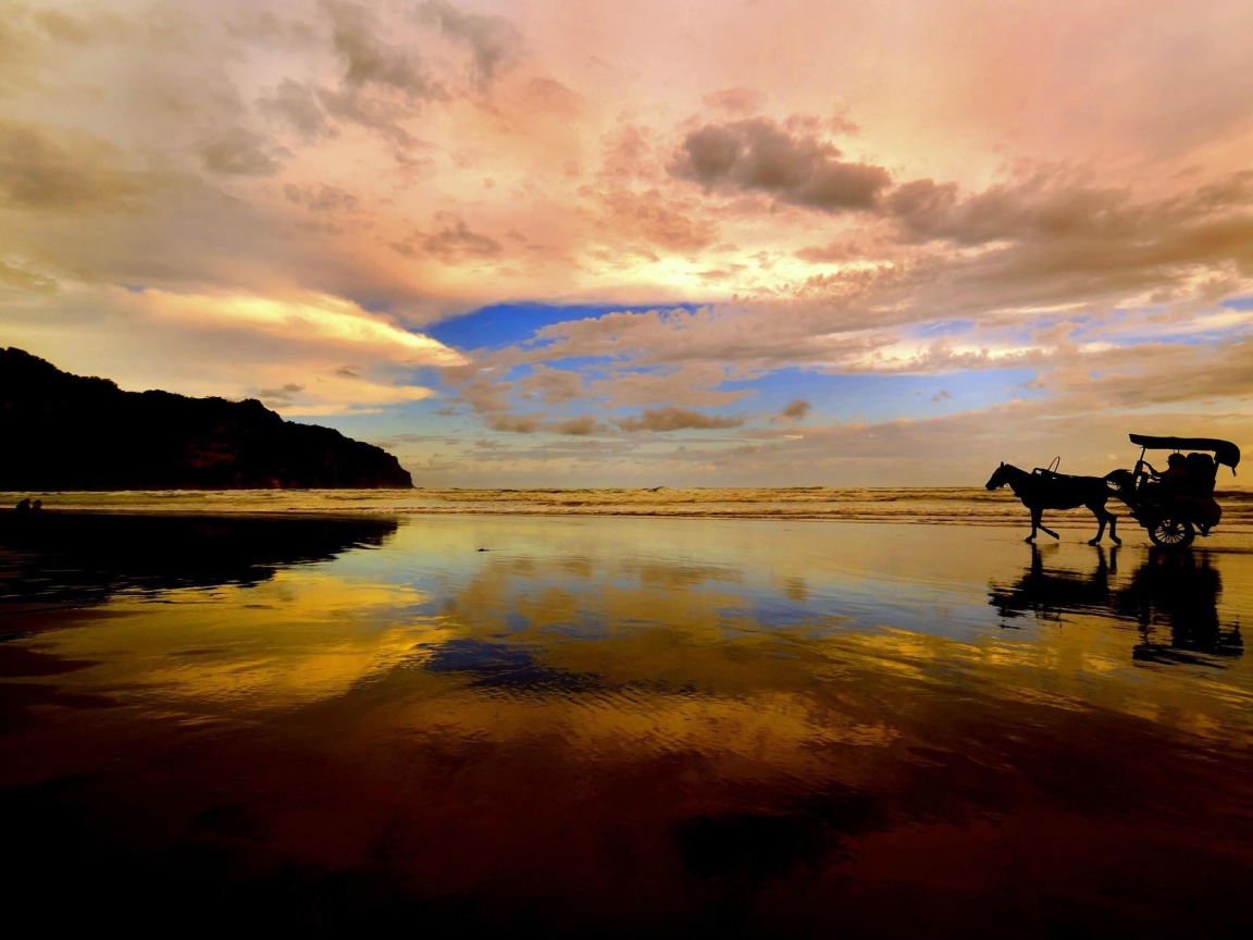 Катание на лошади по пляжу