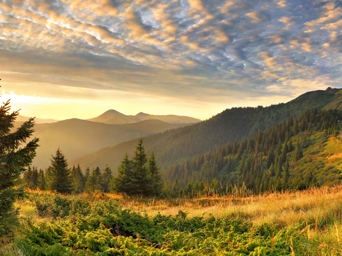 Облака в горах