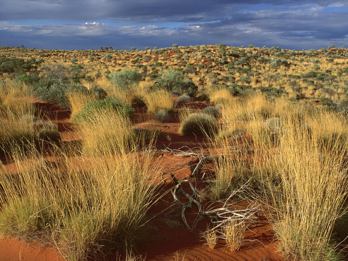 Desert in Australia