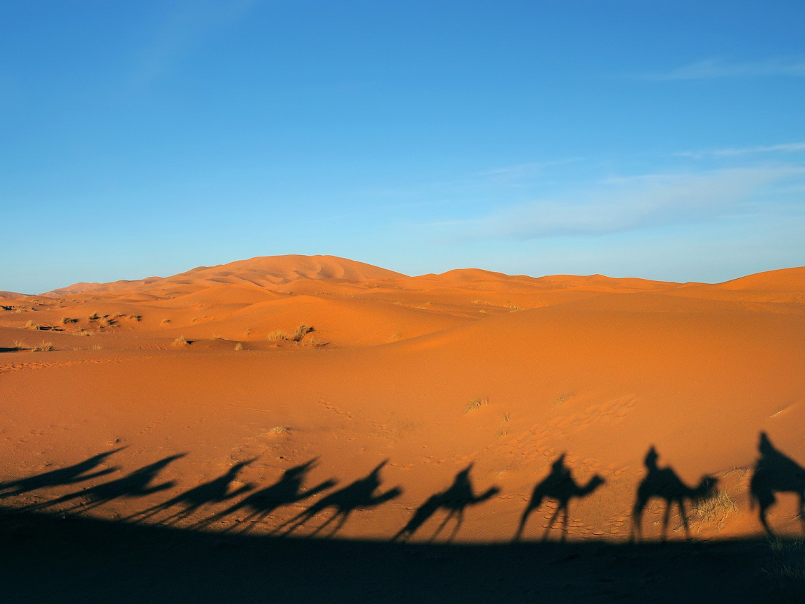 Тени каравана в пустыне