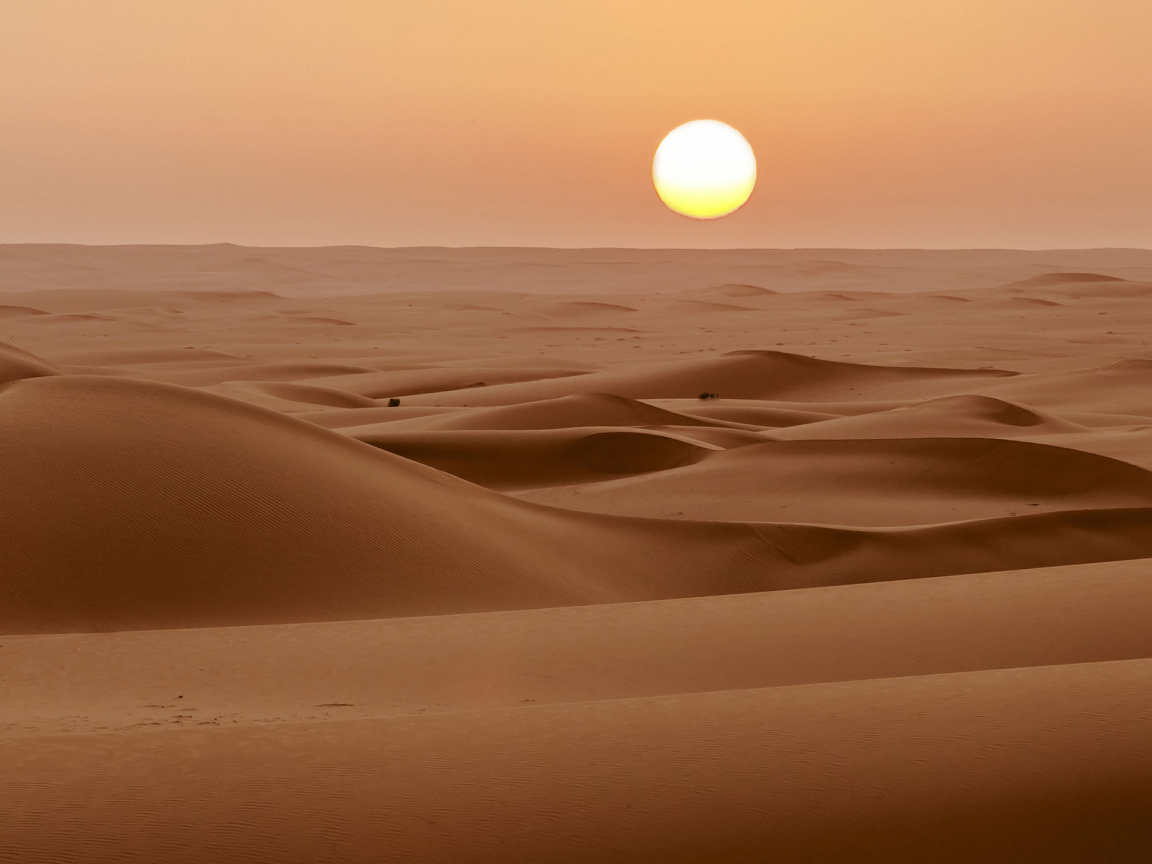 Солнце над пустыней