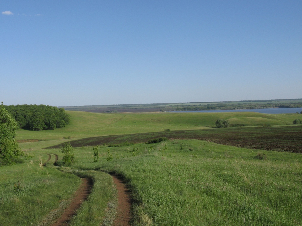 Поле и река