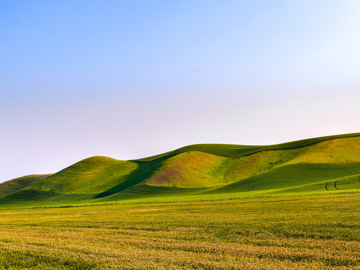 Зелёные волнистые поля