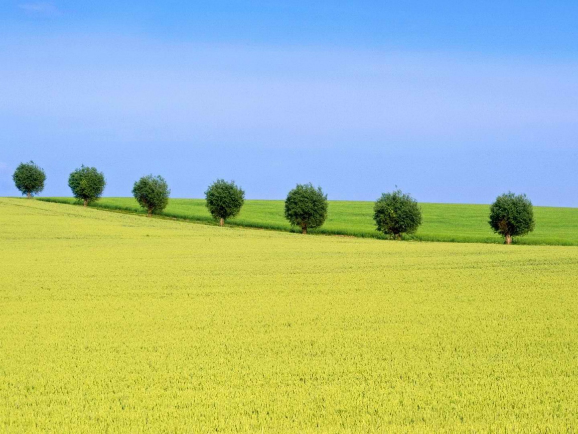 Природа Швеции