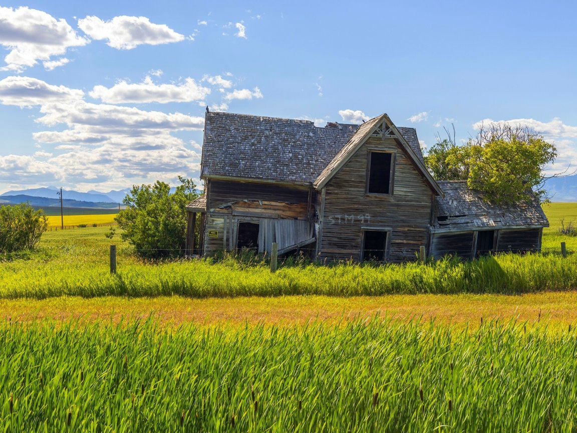 Старый дом в поле