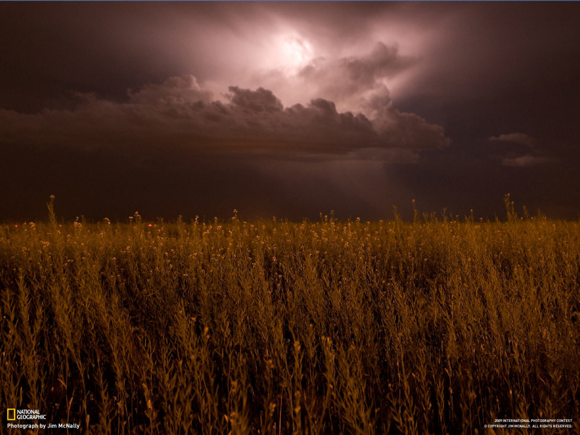 На поле надвигается гроза