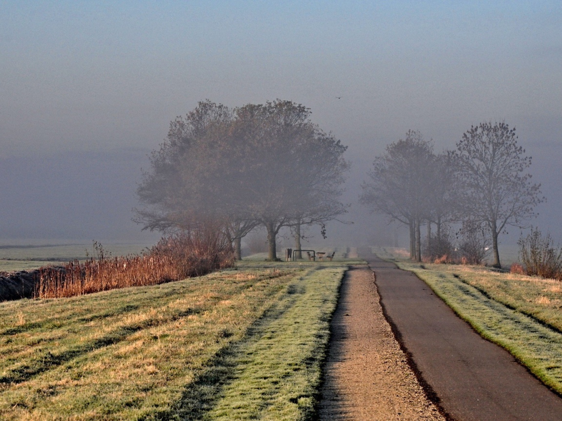 Дорога ведущая в туман