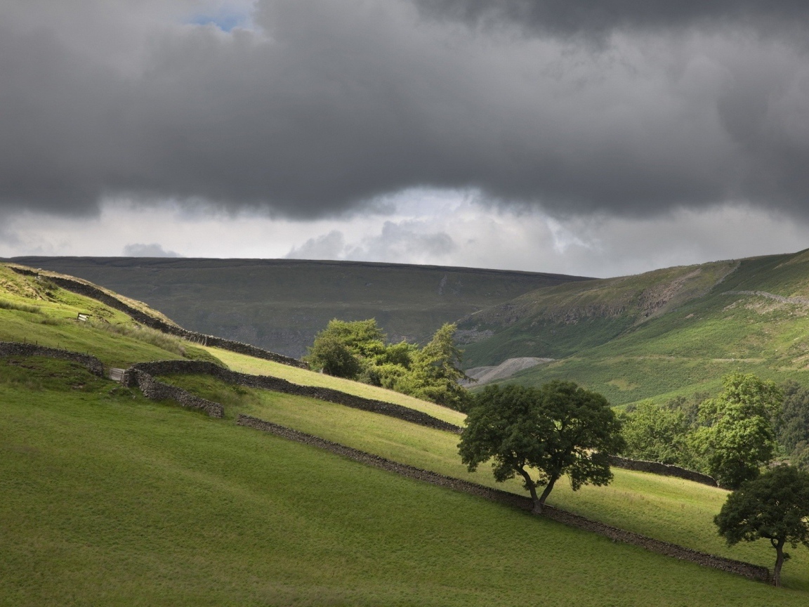 Поля огороженные заборами