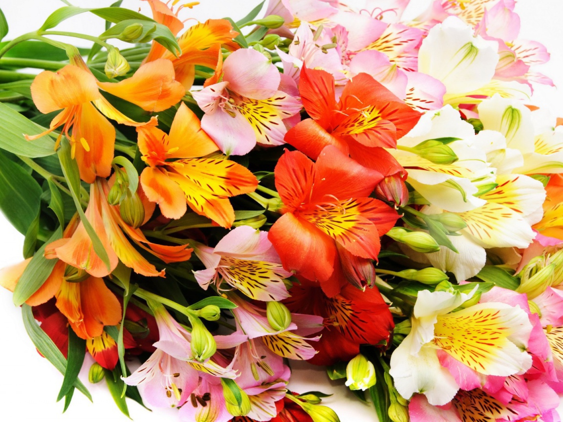 Букет декоративных цветов