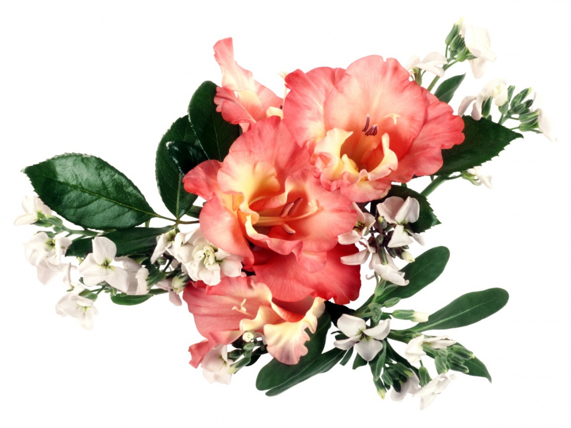 Букет оранжевых гладиолусов