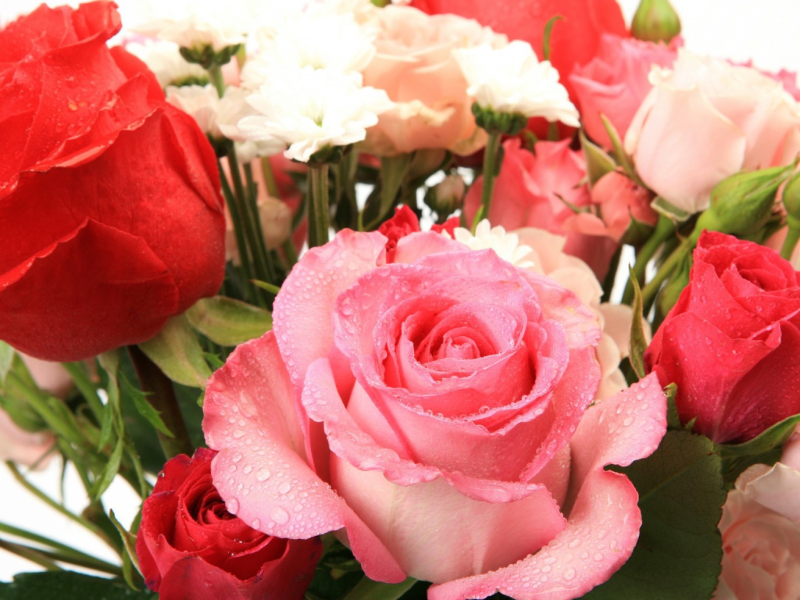 Букет из влажных роз