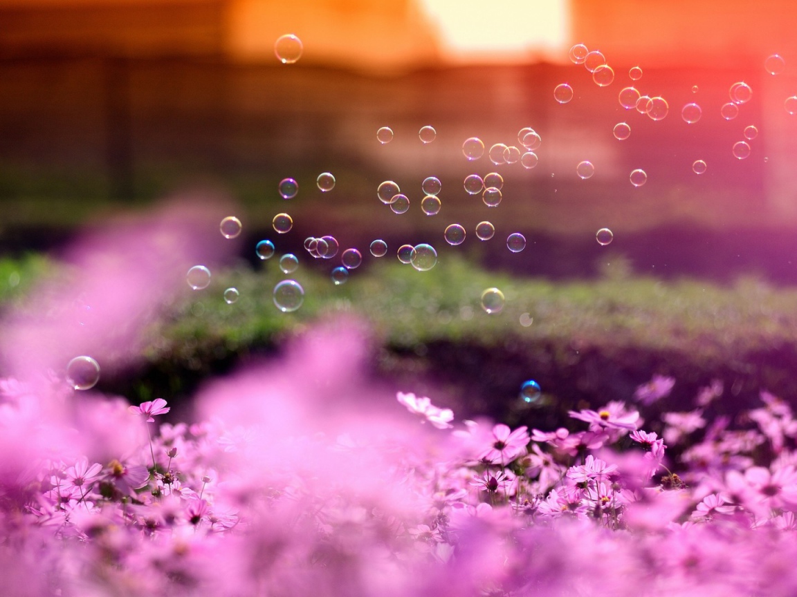 Мыльные пузыри
