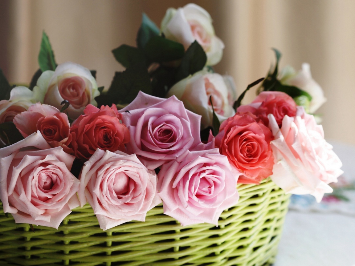 Розы в корзине