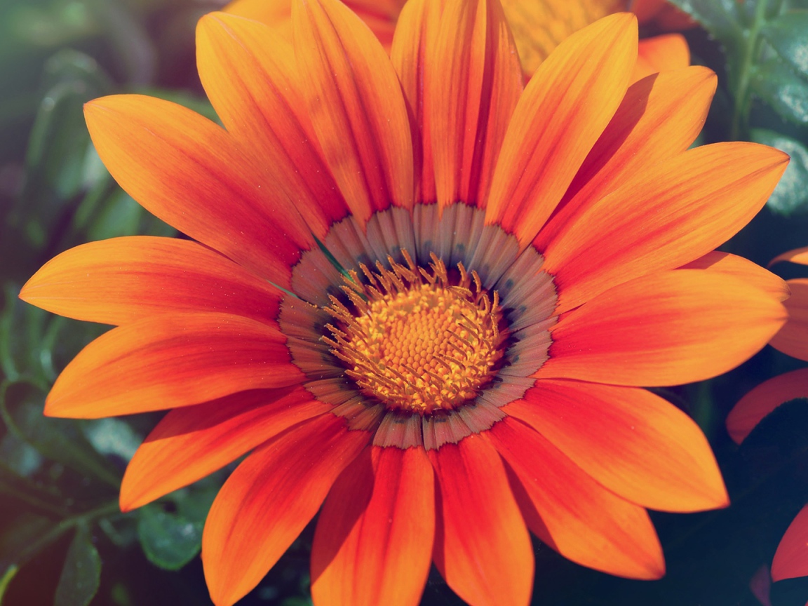 Весенняя любовь