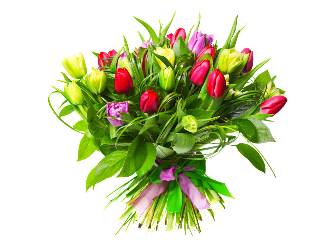 	   Bouquet of tulips on a white background